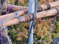 IMG_20231021_110742