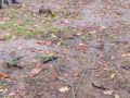 IMG_20231022_113916