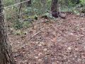 IMG_20231022_114023