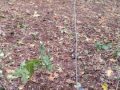 IMG_20231022_114054