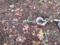 IMG_20231022_114113
