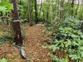 IMG_20231022_114123