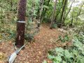 IMG_20231022_114131