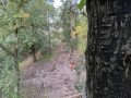 IMG_2538-groot