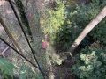 IMG_2552-groot