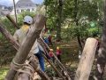 IMG_2555-groot