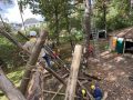 IMG_2556-groot