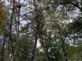 IMG_3599-groot
