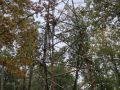 IMG_3605-groot