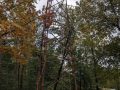 PXL_20231021_095910263