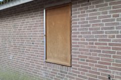 20250315_105424-groot
