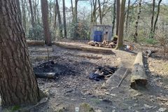 20250315_105502-groot