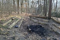 20250315_105510-groot