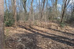 20250315_105530-groot