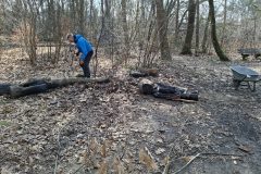 20250315_110403-groot