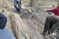 20250315_121437-groot