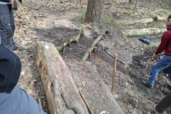 20250315_121440-groot