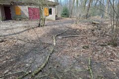 20250315_121731-groot