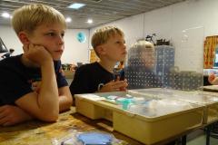 2bf53d35-7dc5-4062-ba86-601d6c4211c3