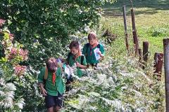 f1a85ee8-85ef-4cef-a0bd-7ab602600397