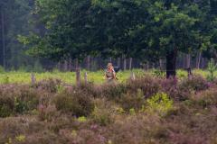 29480c62-abc8-4471-b676-4806f9130be6