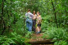 53458400-7af8-49ca-b9c4-dbbe53d94d17