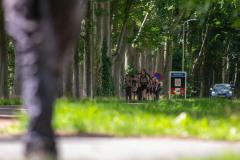 7b62b639-5b0f-47bf-8fea-040c027b494c