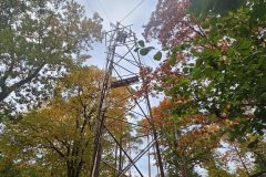 20251012_115850-groot