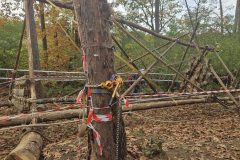 20251019_123507-groot