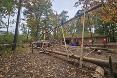 33a42ed8-07ab-4f97-9902-4e82436f0114-copied-media2-groot