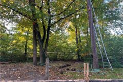 IMG_9842-groot