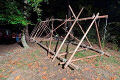 PXL_20251010_191154717-groot