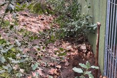 F58AE916-9975-4414-A020-9CDF064E928C-groot