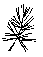 den