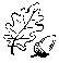 eik