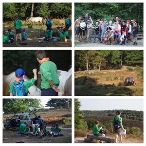Zomerkamp welpen hike