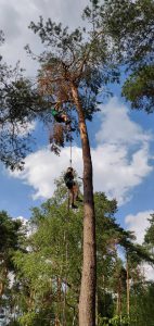 Zomerkamp verkenners abseilen