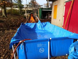 Welpen Impeesa hot tub in wording