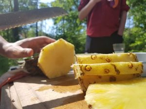 Scouting Impeesa Amersfoort primitief koken ananas