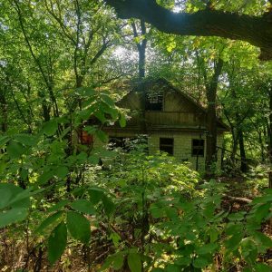 Scouting Impeesa Amersfoort - Stam zomerkamp