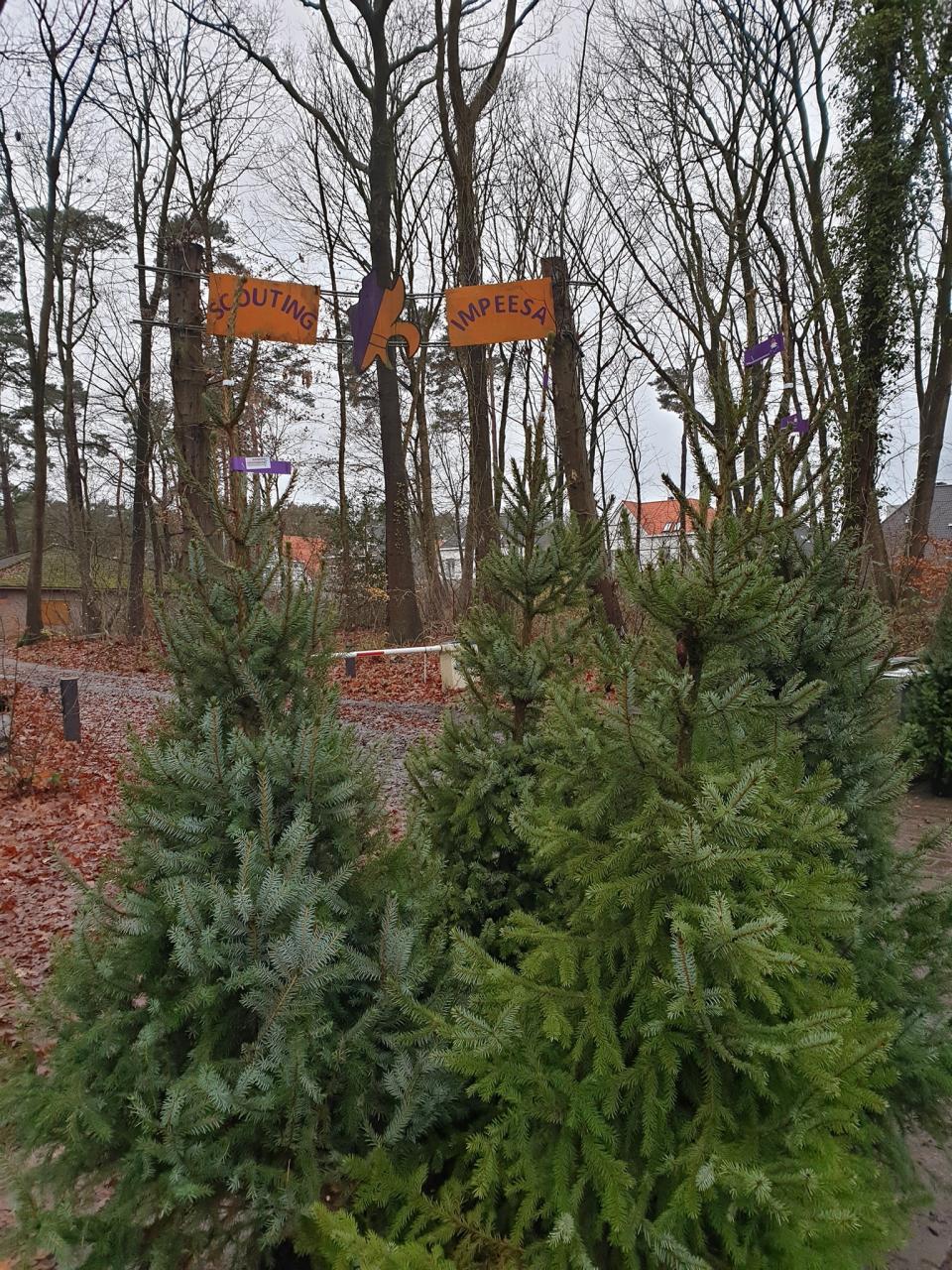 Scouting Impeesa Amersfoort - duurzame kerstbomen