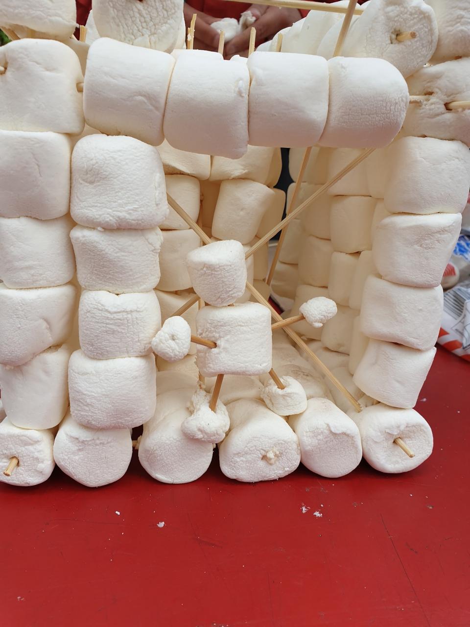 Scouting Impeesa Amersfoort rowans snoepstad