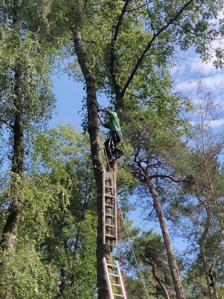 Scouting Impeesa Amersfoort overvliegen kabelbaan