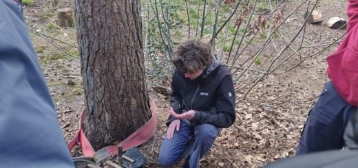 Scouting technieken tirfor
