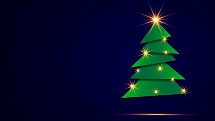 Duurzame kerstboom kopen via Scouting Impeesa