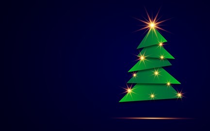 Duurzame kerstboom kopen via Scouting Impeesa