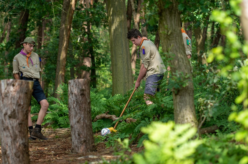 Boerengolf in het bos